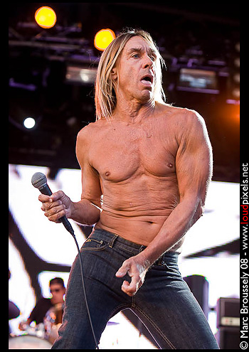 Iggy and the Stooges